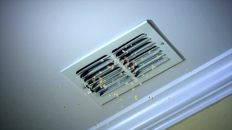 Best Ductwork Cleaning Services  in Garner, NC
